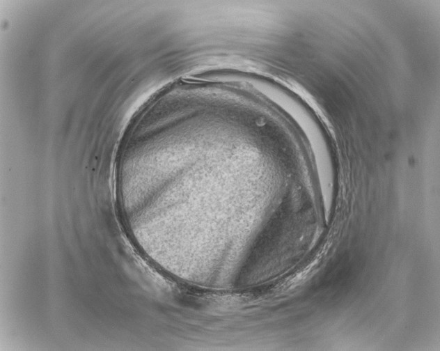 X0000059250791200510281955