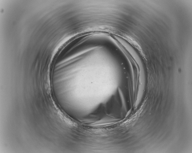 X0000059250792200510281955