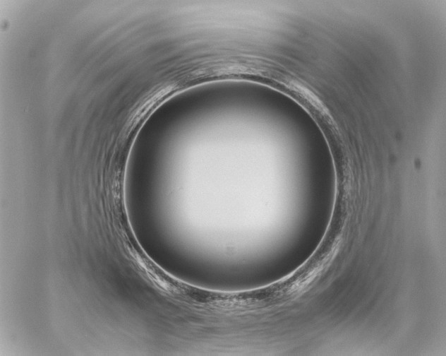 X0000059250793200510281955