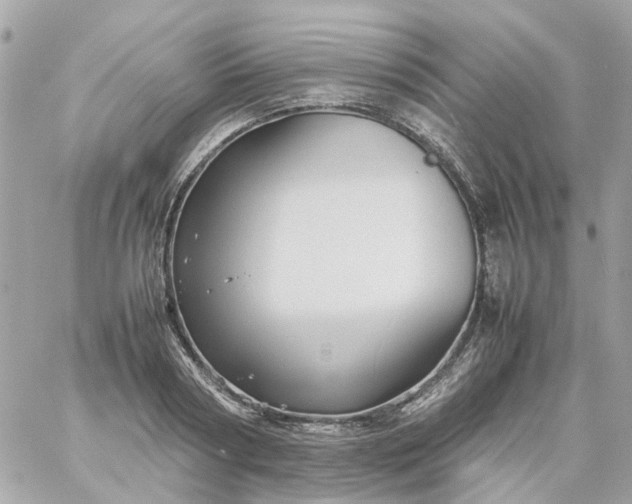 X0000059250794200510281955