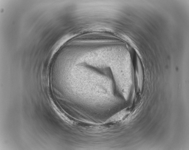 X0000059250795200510281955