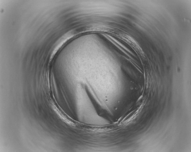 X0000059250796200510281955