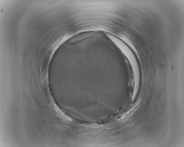 X0000059250797200510281955