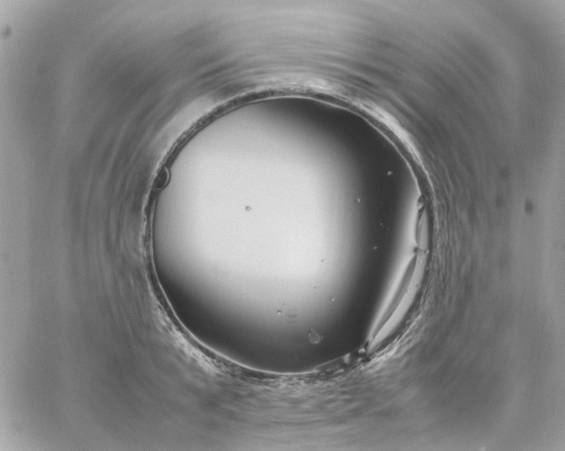 X0000059250799200510281955