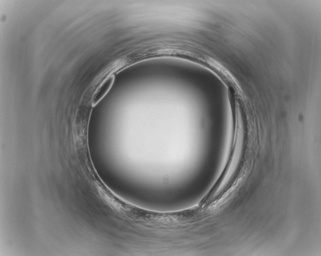 X0000059250801200510281954