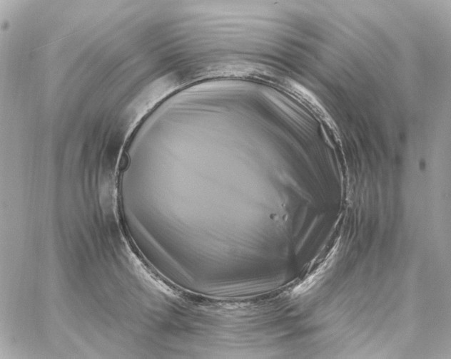 X0000059250802200510281954