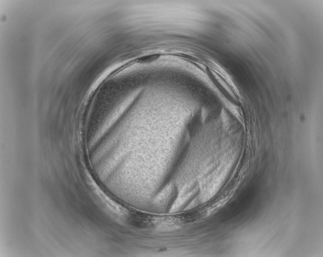 X0000059250803200510281954