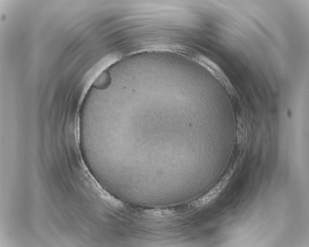 X0000059250804200510281954