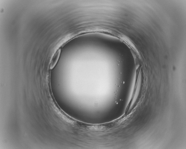 X0000059250805200510281954