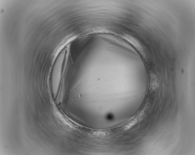 X0000059250806200510281954