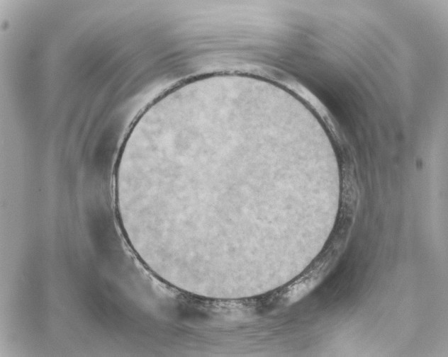 X0000059250807200510281954