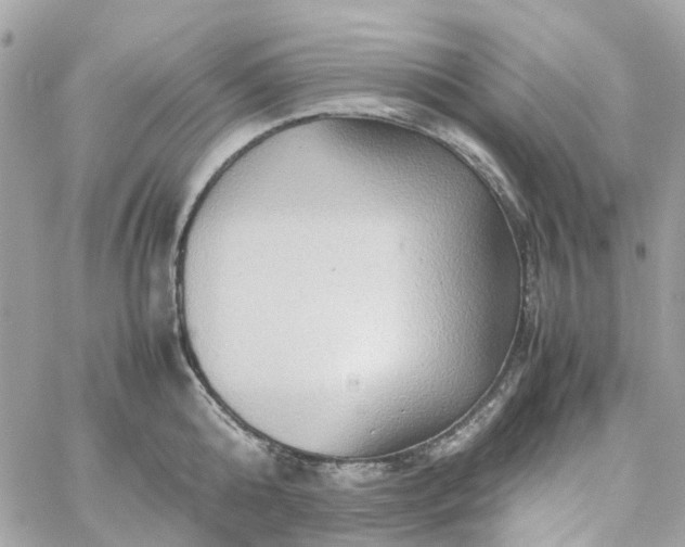 X0000059250808200510281954