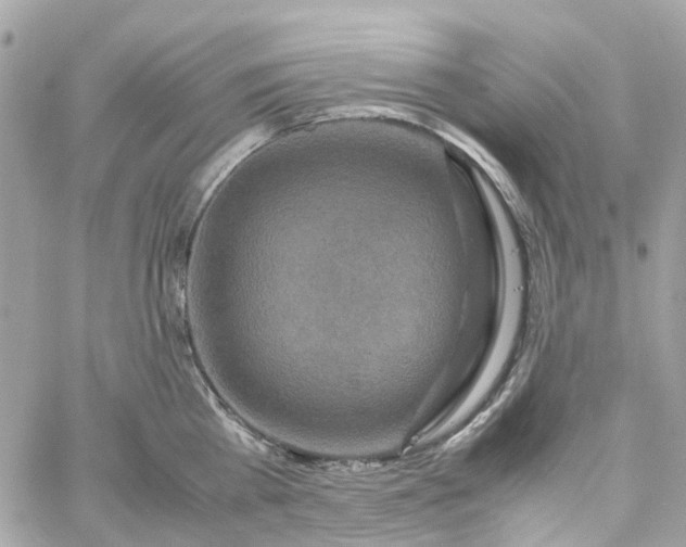 X0000059250809200510281954