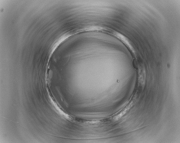 X0000059250810200510281954