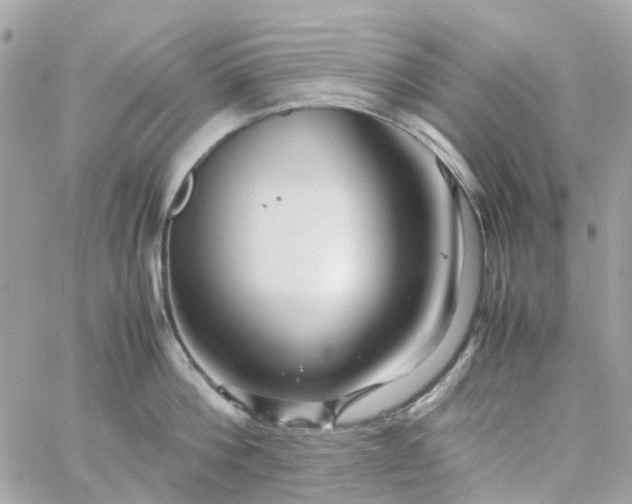 X0000059250812200510281954