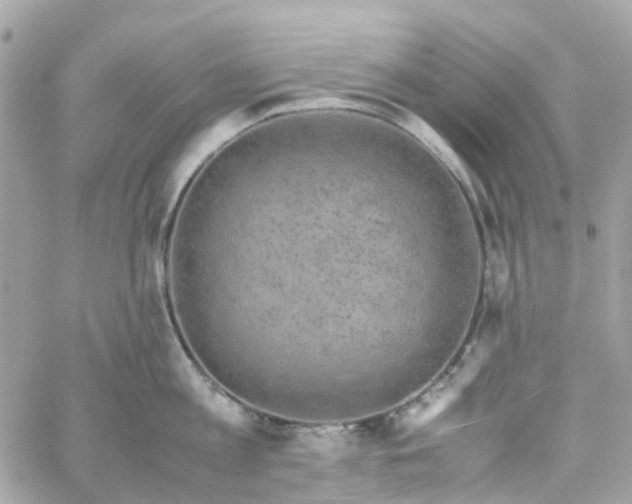 X0000059250813200510281954