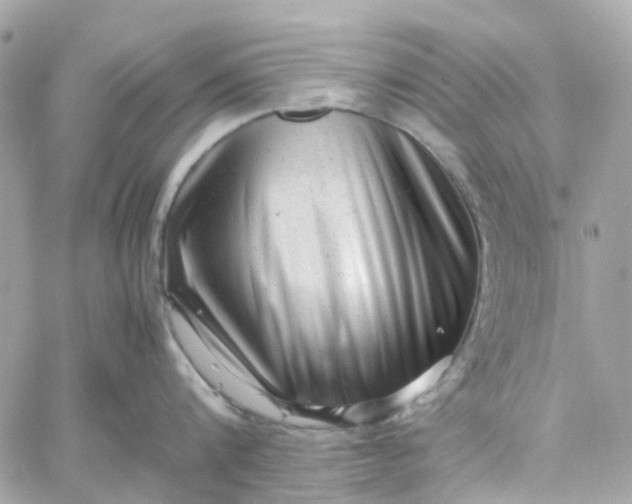 X0000059250816200510281954