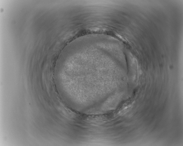 X0000059250817200510281953