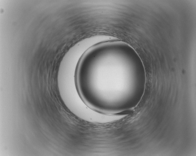 X0000059250818200510281953