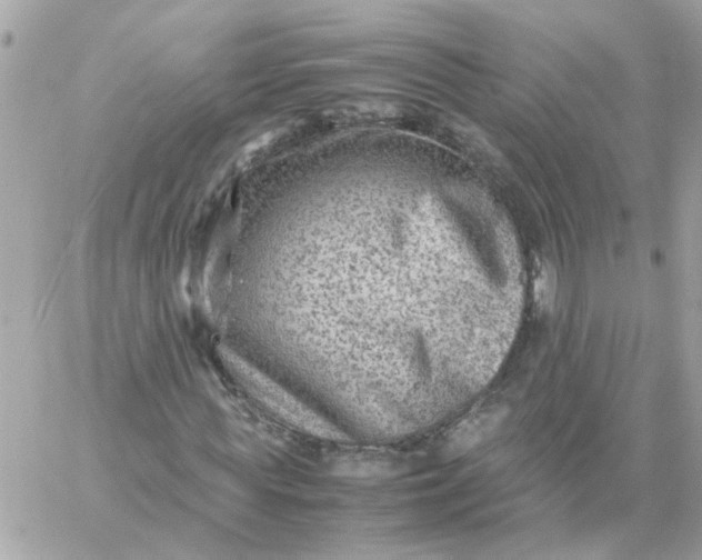 X0000059250819200510281953