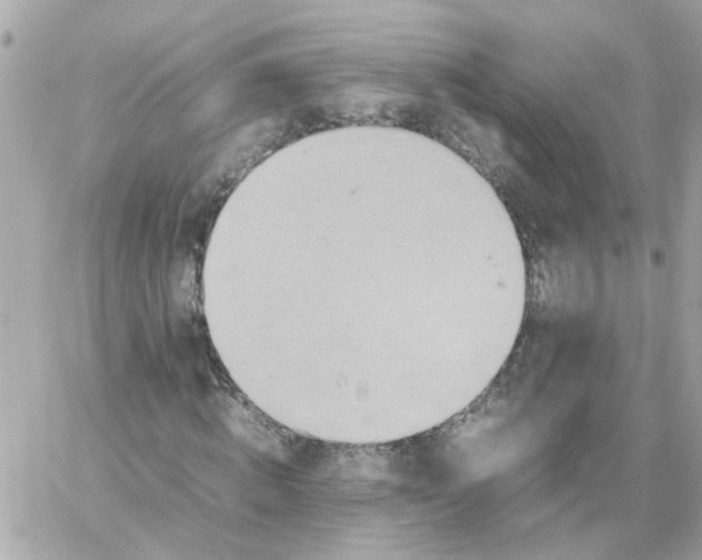 X0000059250820200510281954