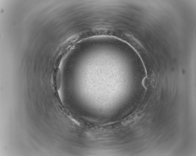 X0000059250821200510281954