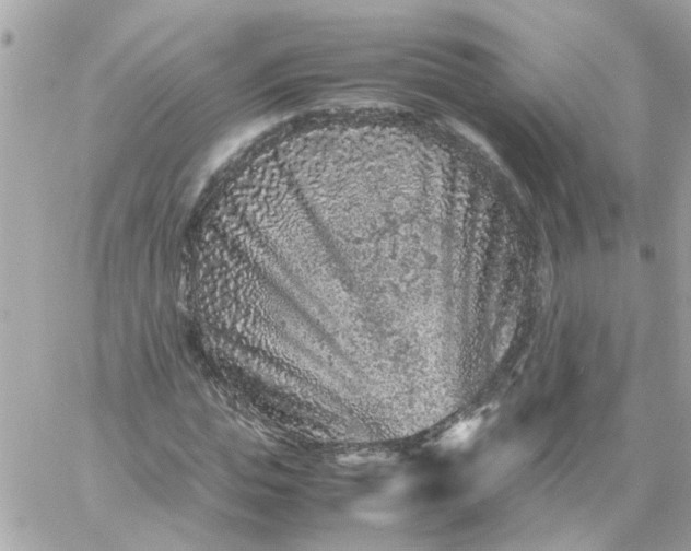 X0000059250823200510281954