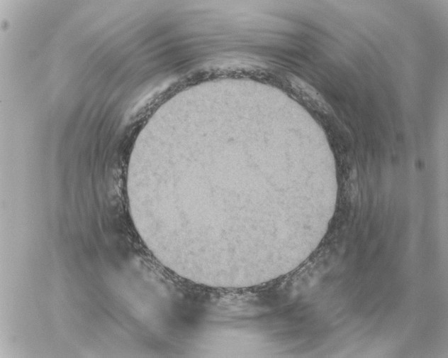 X0000059250824200510281954