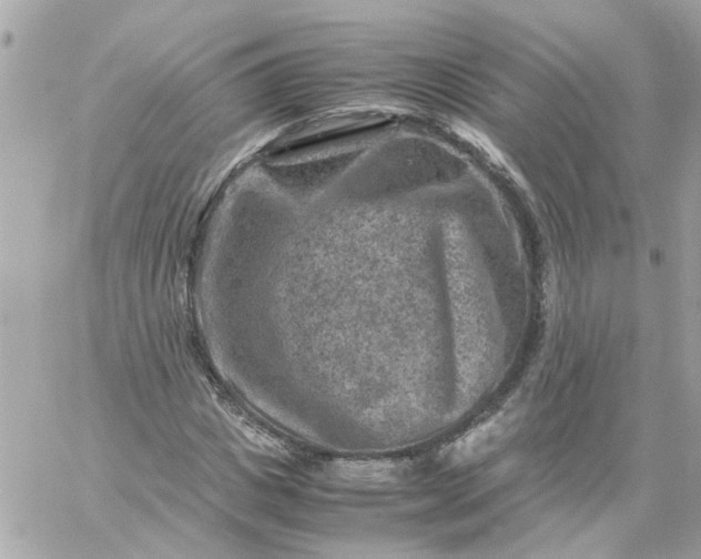 X0000059250825200510281954