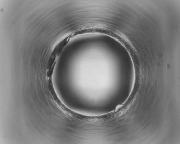 X0000059250826200510281954