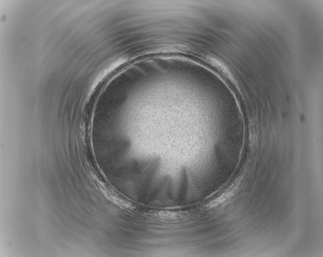 X0000059250827200510281954