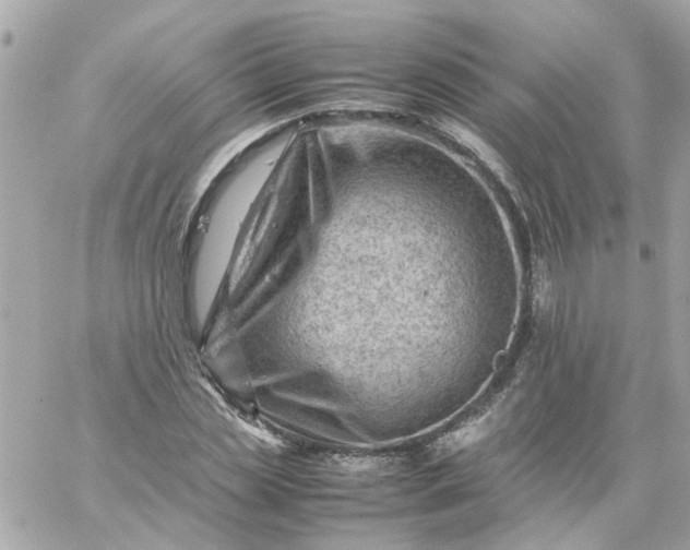 X0000059250829200510281954