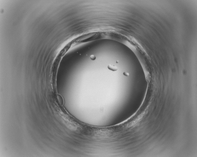 X0000059250830200510281954