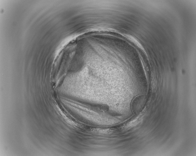 X0000059250831200510281954