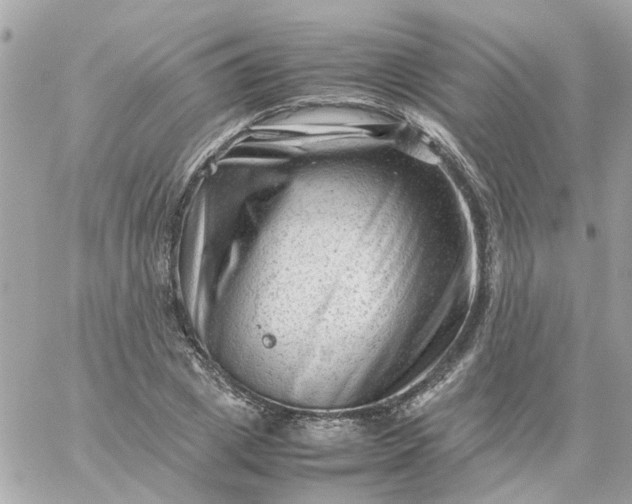 X0000059250833200510281954