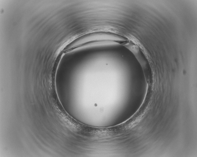 X0000059250834200510281954