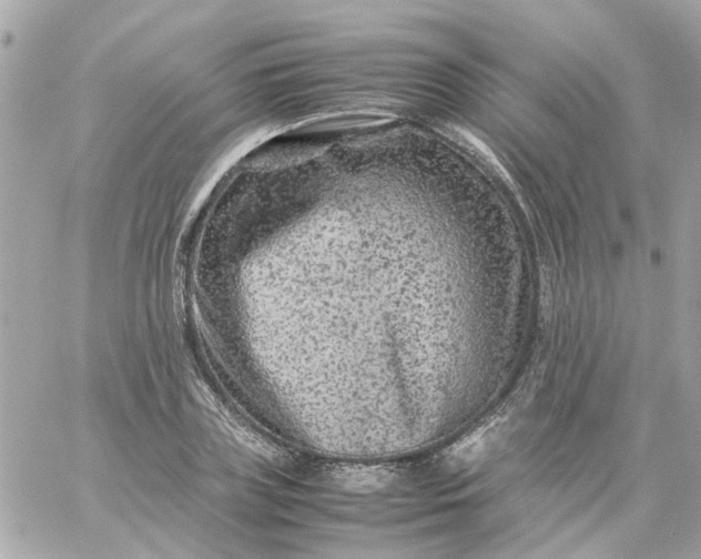 X0000059250835200510281954