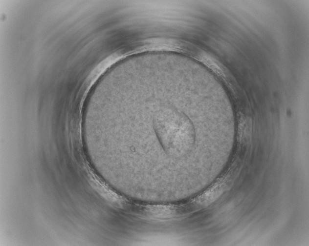 X0000059250836200510281954