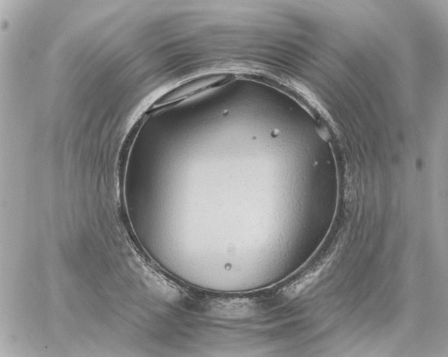 X0000059250837200510281954