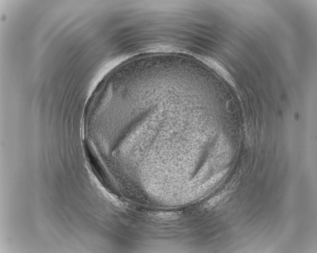 X0000059250839200510281954