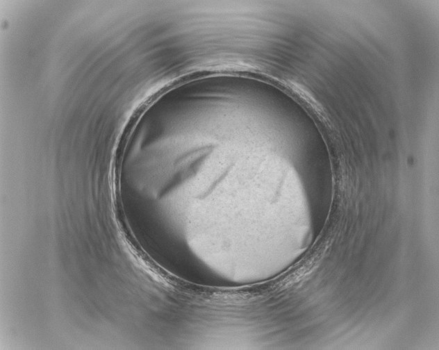 X0000059250840200510281954