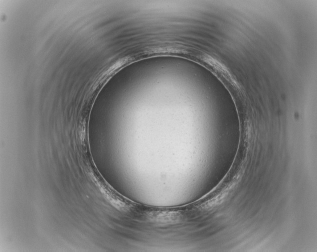 X0000059250841200510281954