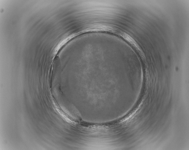 X0000059250842200510281954