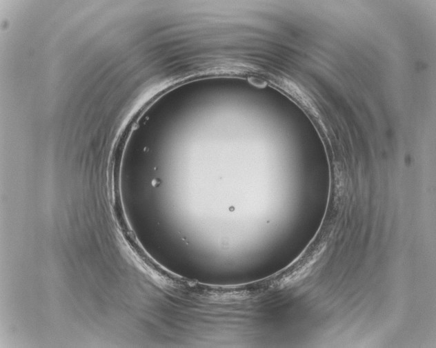 X0000059250843200510281954