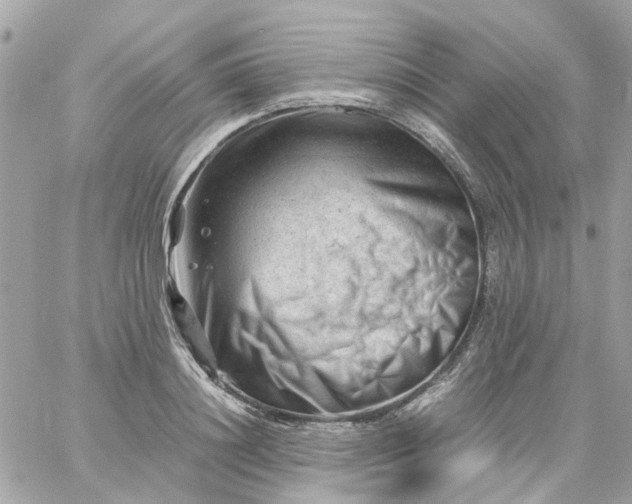 X0000059250844200510281954