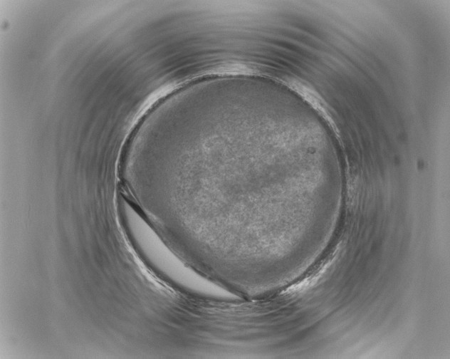 X0000059250845200510281954