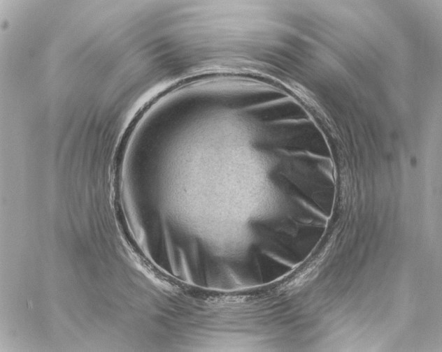 X0000059250846200510281954