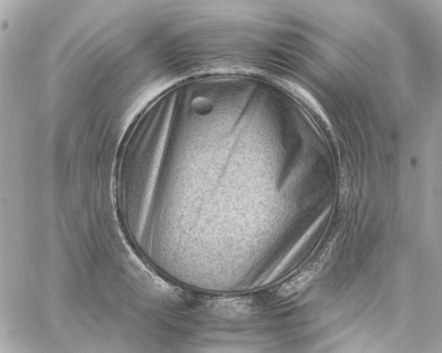 X0000059250847200510281954