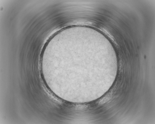 X0000059250848200510281954