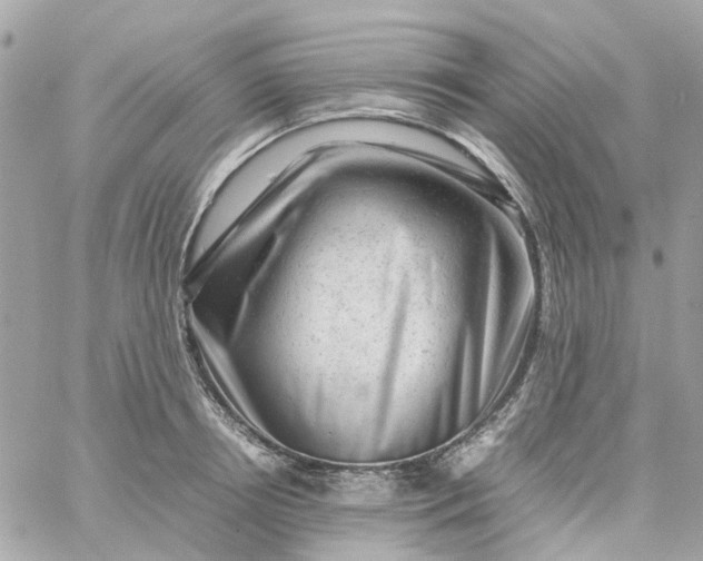 X0000059250850200510281954